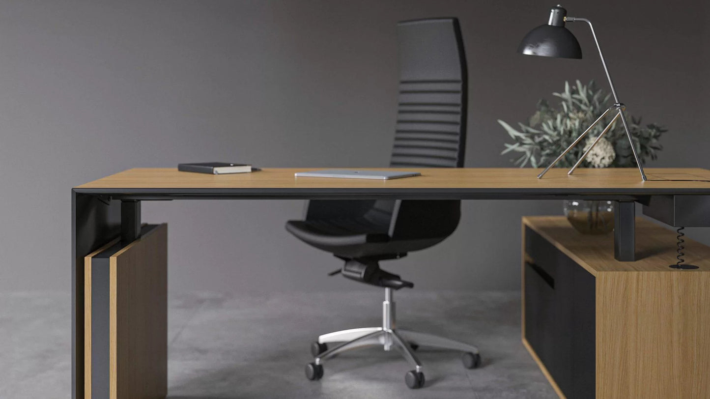 Narbutas MOTION Sit Stand Executive Desk