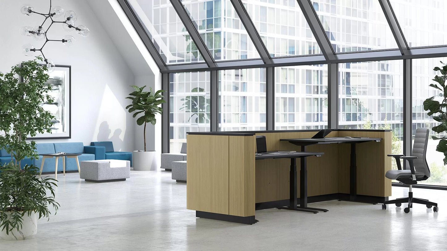Narbutas Ice reception desk