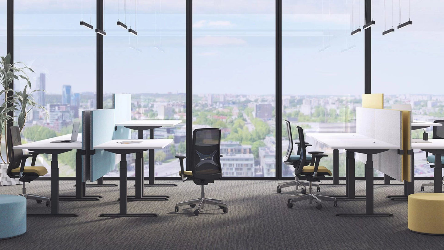 Narbutas ACTIVE Sit Stand Desk