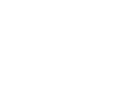 fibrus